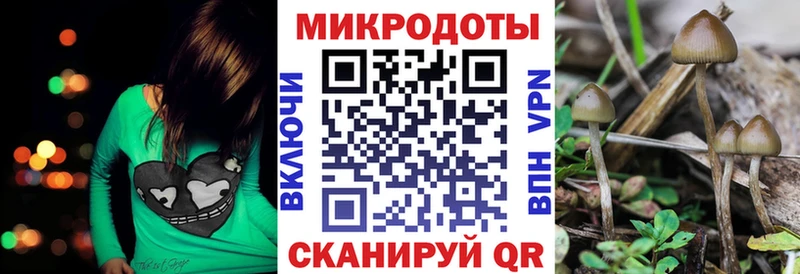 Галлюциногенные грибы Psilocybe  наркота  кракен онион  Тотьма 